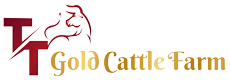 T&T Cattle Farm